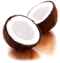 Coconut Oil Coconut Oil